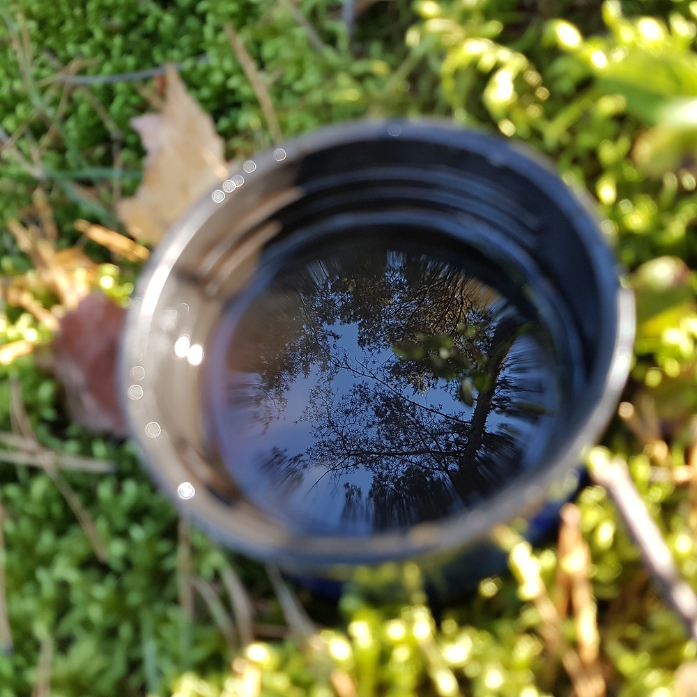 woodland tea