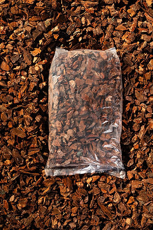 WhatsApp Image 2025-07-31 at 15.50.54_ad9420c6.jpg