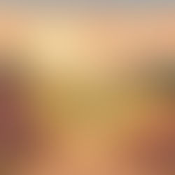 Crafting Compelling Adventures: A Guide to Writing an Adventure Story