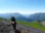 Horse riding tour