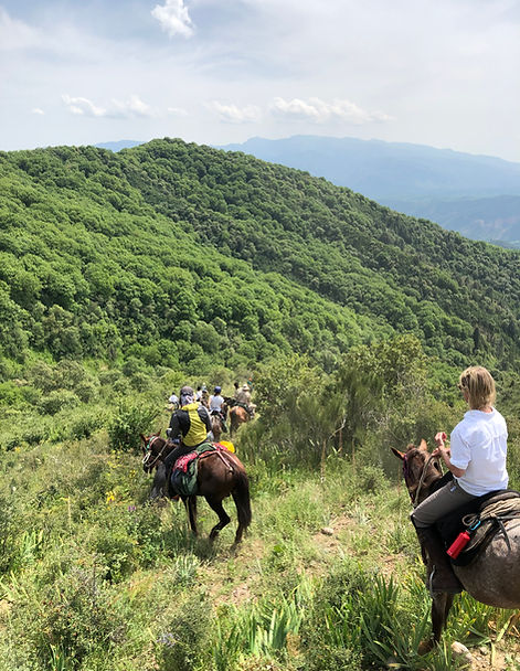 Horse riding tour
