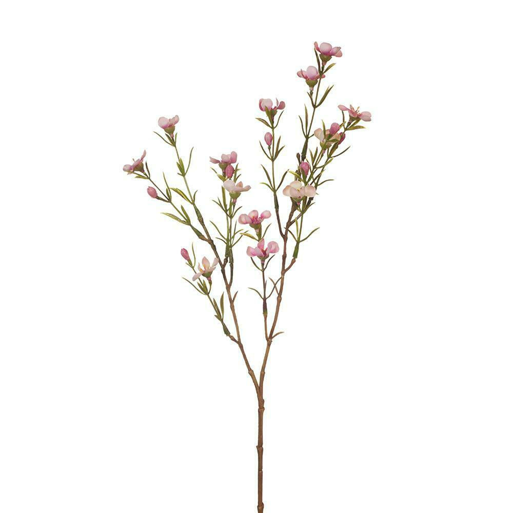 Pink Wax Flower Stem Spray