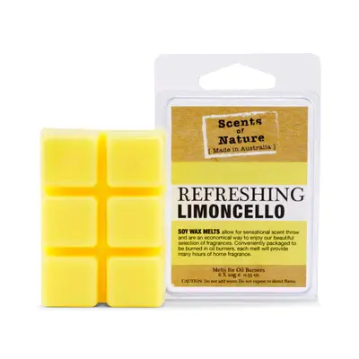 Thumbnail: Tilley Scents of Nature Wax Melts