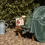 Thumbnail: Esscherts Garden - Garden Blanket