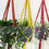 Thumbnail: Macrame plant holder - various colours 