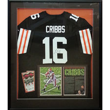 Josh Cribbs Cleveland Browns Jersey