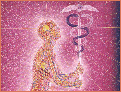 Psykadelisk medisin mot avhengighet i Norge