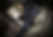 481659243_10170562781170621_82671051291248676_n.png