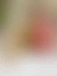 Decorative animal candles