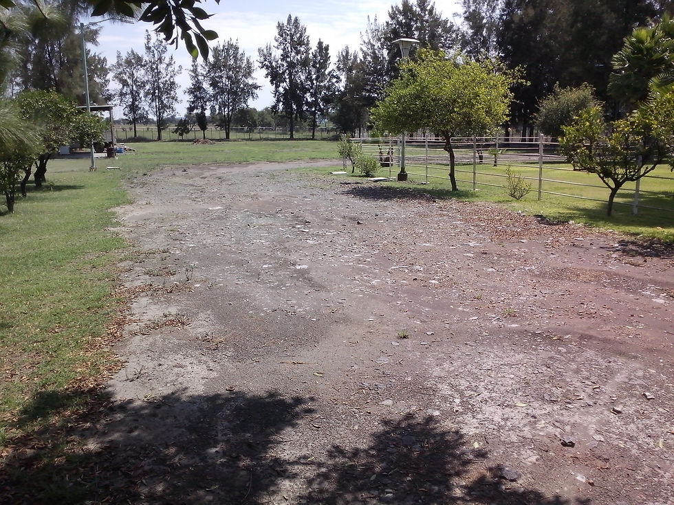 Miniatura: RANCHO SAN PABLO