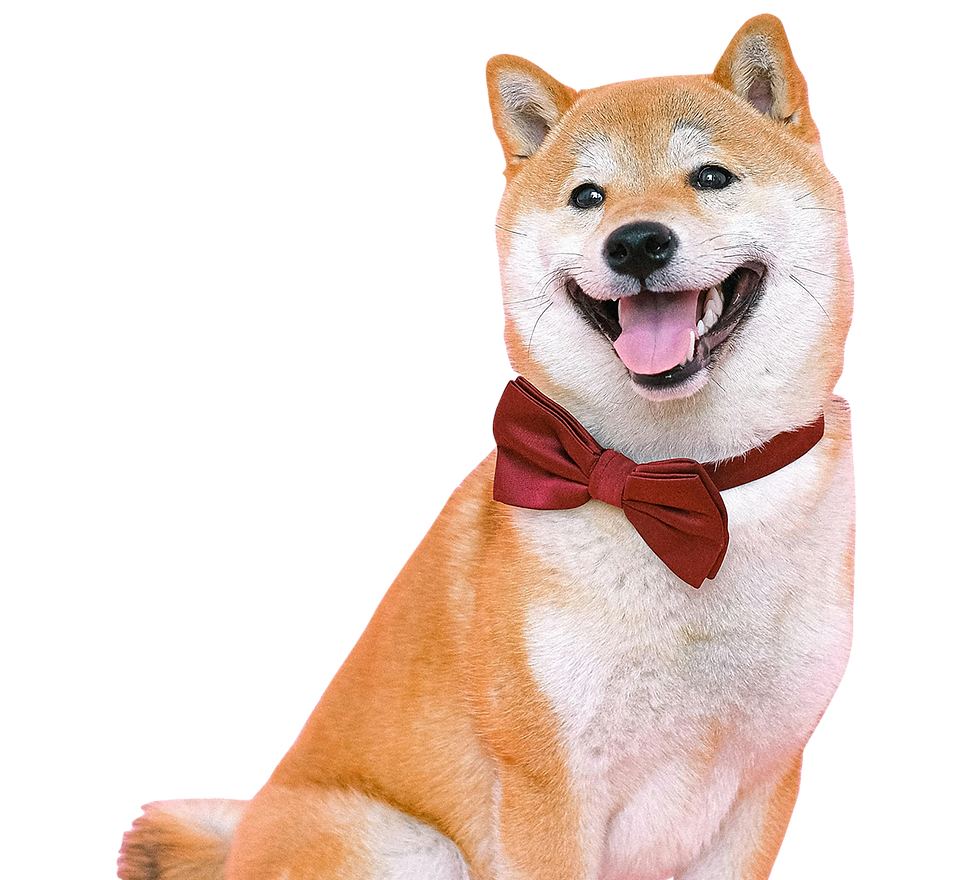 pexels-shvetsa-4588000 1 1.png