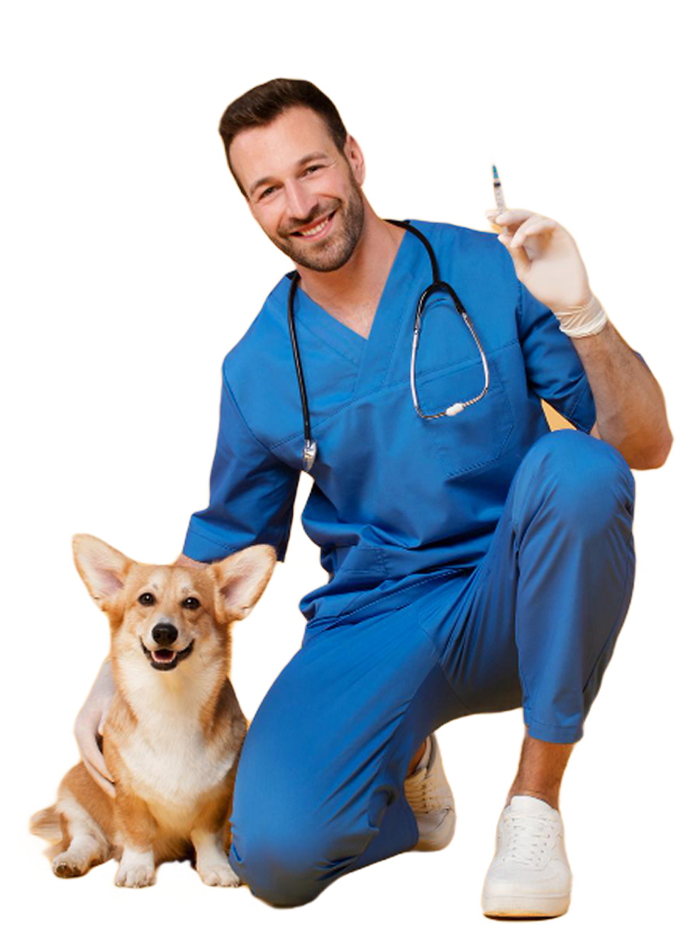 Smiling vet with corgi, preparing a syringe