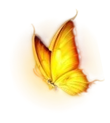 Yellow butterfly