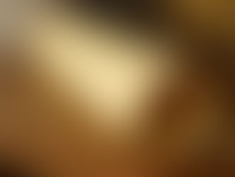 The Paradox of Religious Scritures in History