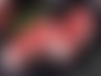 Quarter beef explained