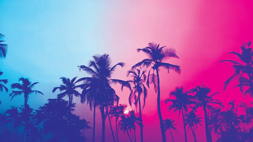 6281MiamiTropicalViceColorsPict0.webp