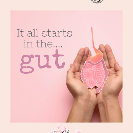 The Gut-Clock Paradox: Why You Keep Waking Up at 3 AM (And How to Fix It)