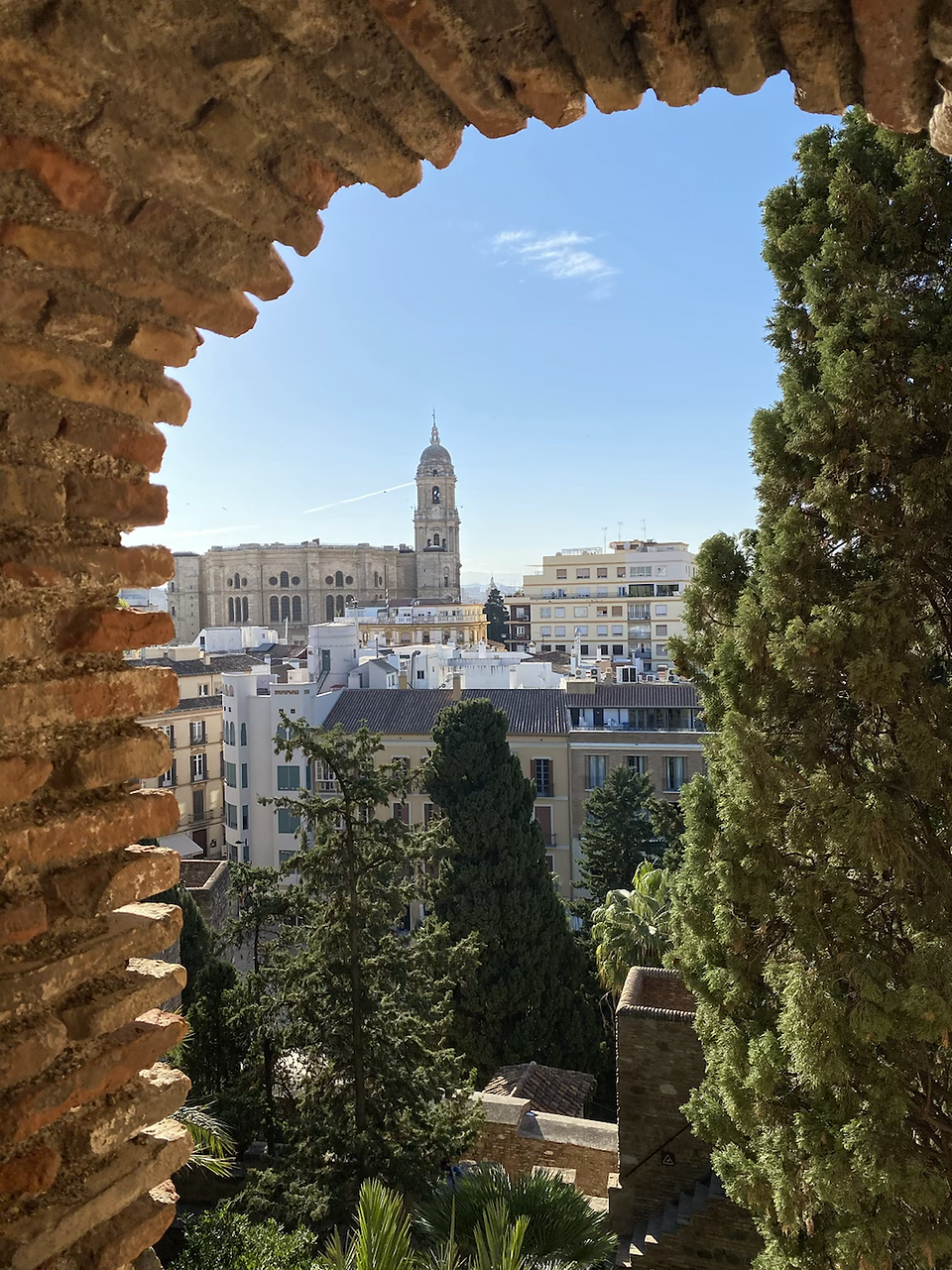 Catedral de la Encarnacion vista desde la Alcazaba