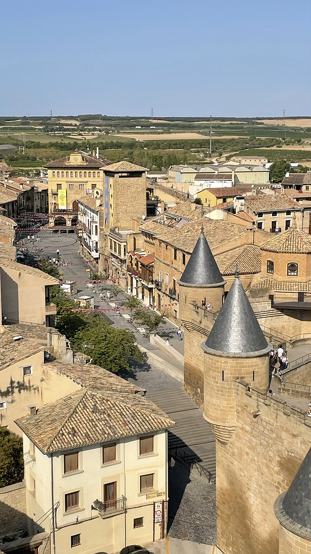 Torres del Palacio Real de Olite