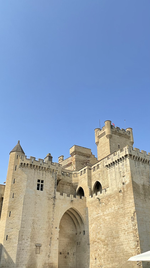 Murallas del palacio real de Olite