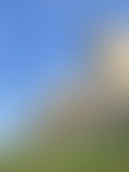 Lugares que ver en Ávila - Muralla de Ávila