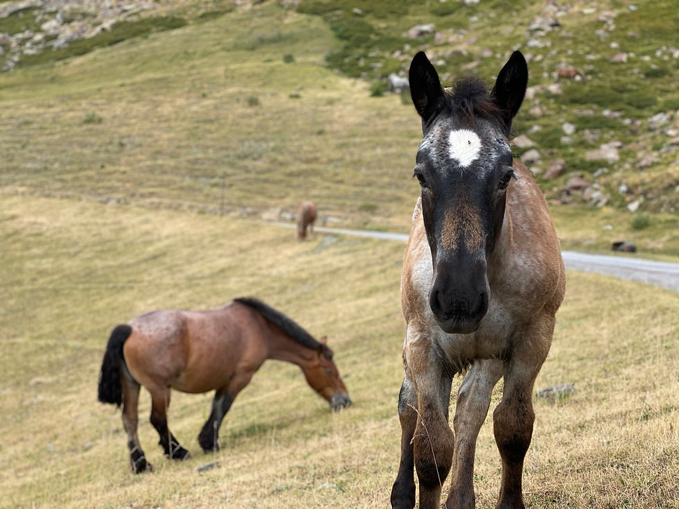 Lugares que ver en Andorra - Llacs de Tristaina