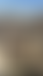 Muralla de la alcazaba de Trujillo