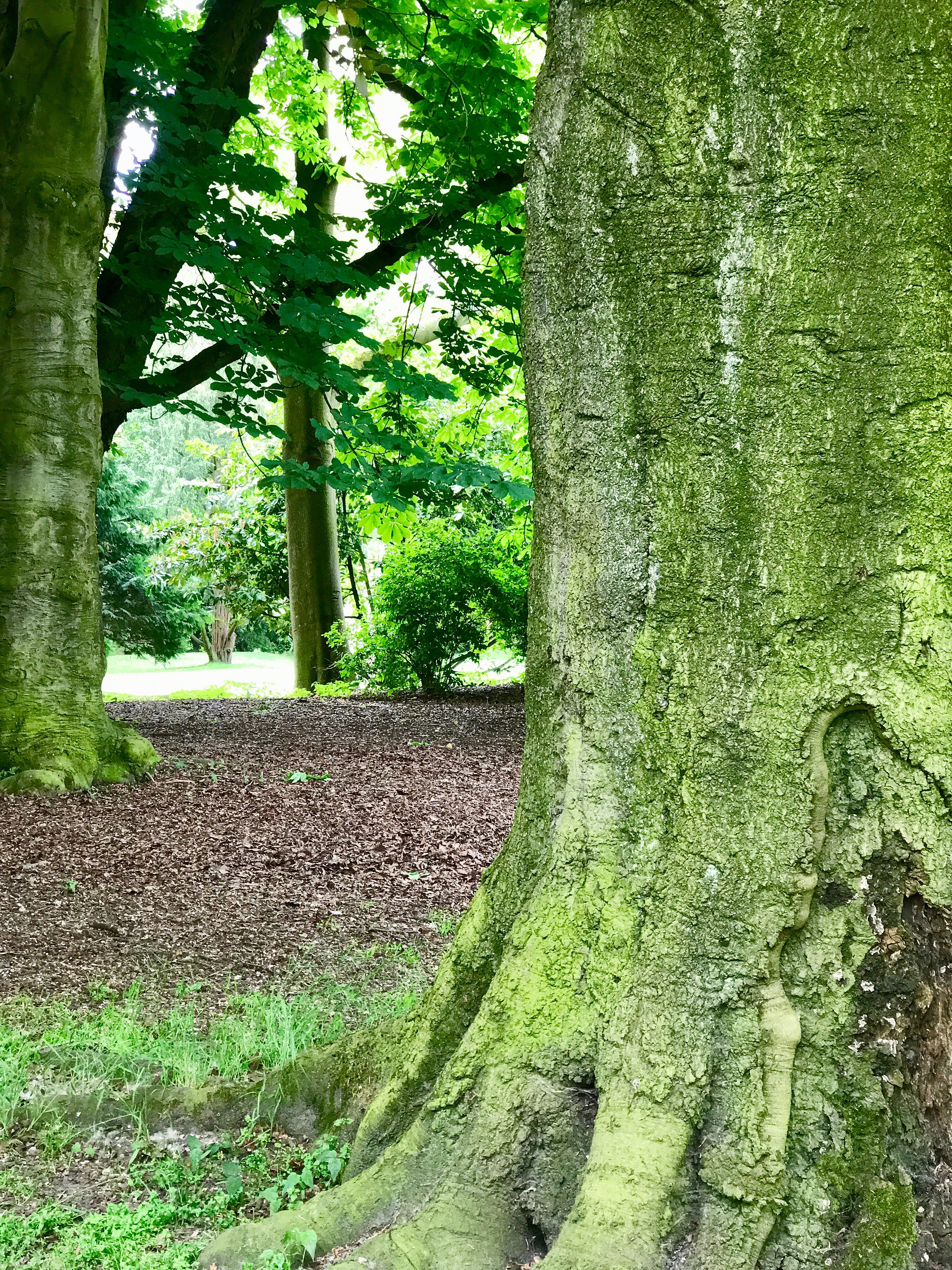 Citadelpark