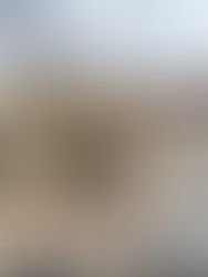 Lugares que ver en Ávila - Basílica San Vicente en Ávila