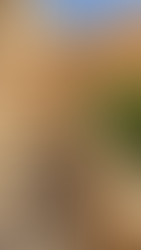 Lugares que ver en Mardin - Monasterio Mor Hananyo