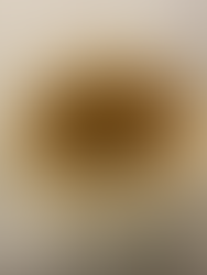 Arroz con leche Restaurante Parra