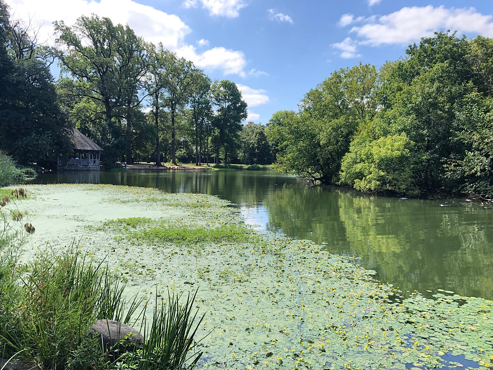 Prospect Park Brooklyn