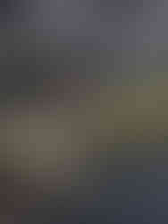 Lugares que ver en Tokio - Tokio Skytree