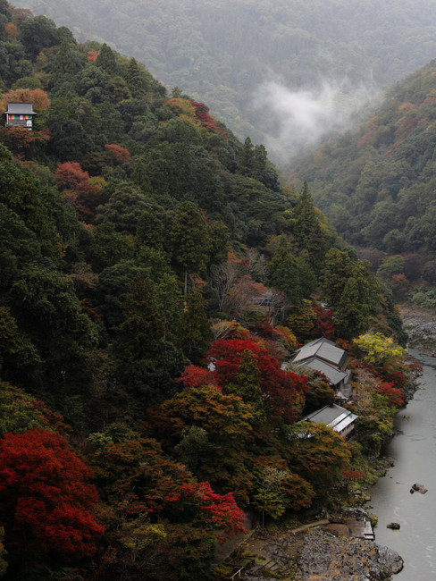 Lugares que ver en Kioto - Bosque de bambú Kameyama