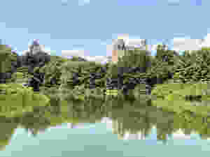Central Park Nueva York