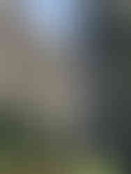 Lugares que ver en Toronto - Universidad