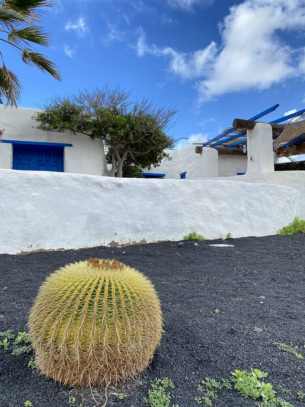 Pedro Barba en La Graciosa