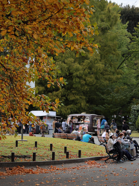Lugares que ver en Tokio - Museo Nacional