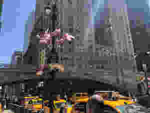 Grand Central Taxi