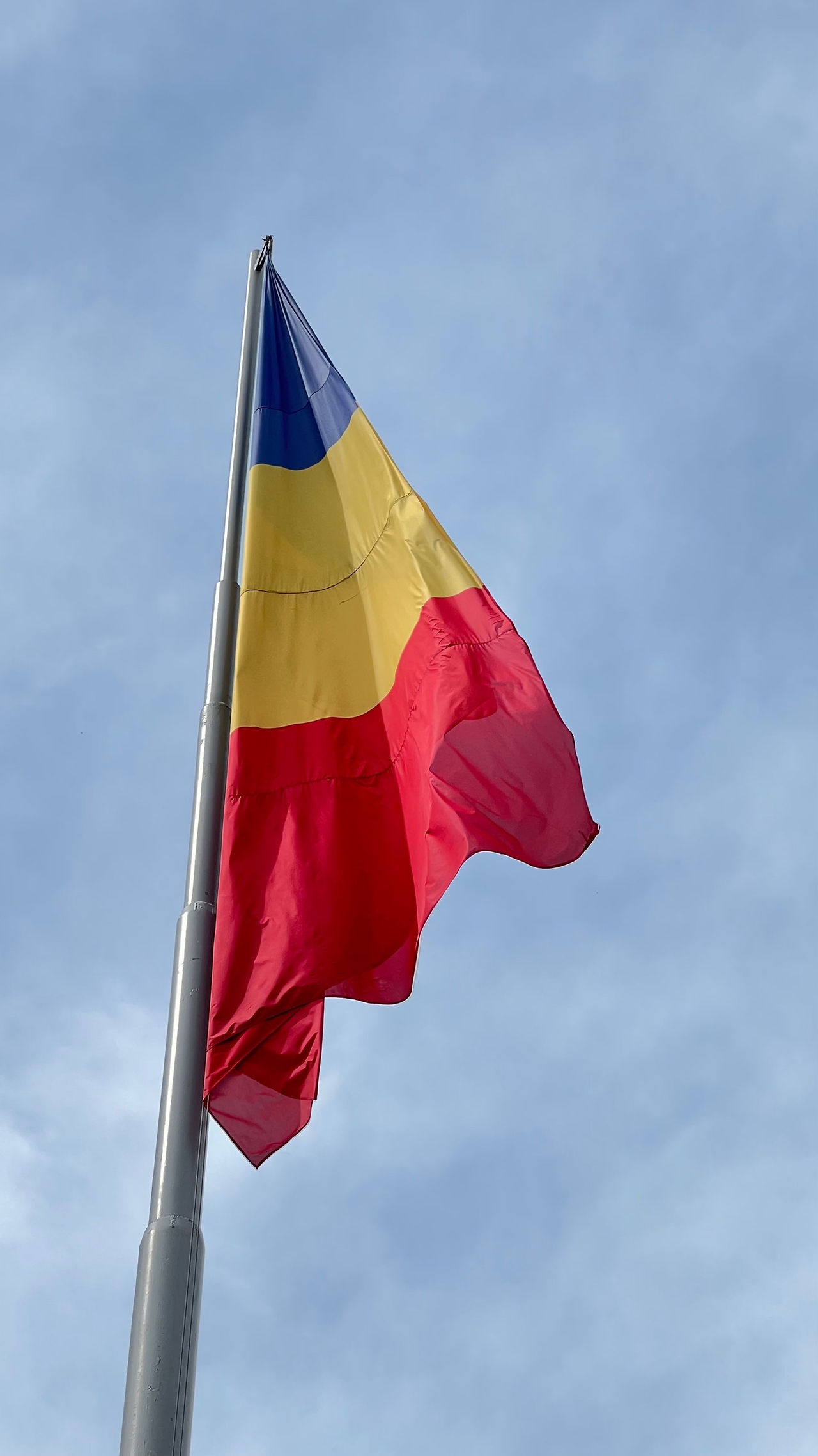 Bandera de Rumanía en Timisoara