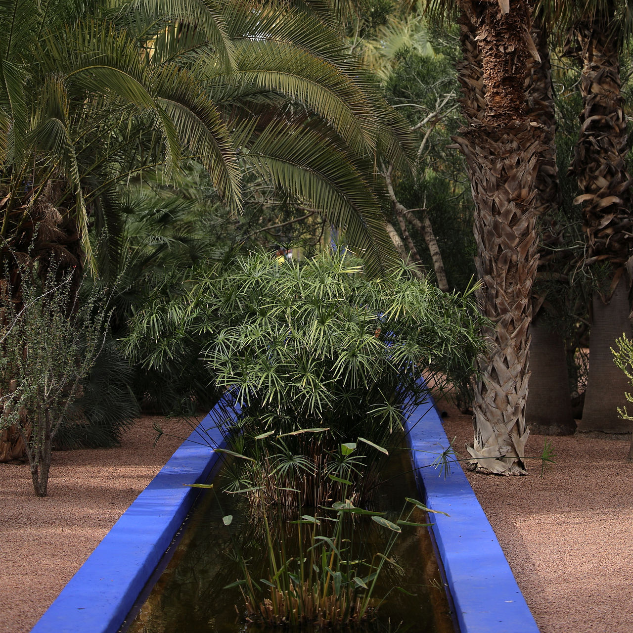 Jardines de Majorelle