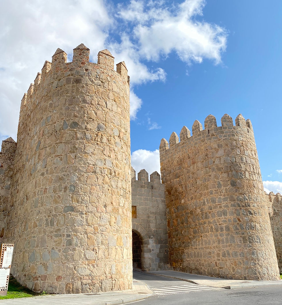 Lugares que ver en Ávila - Puerta de la Adaja Ávila