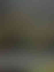 Lugares que ver en Kioto - Bosque de bambú Kameyama