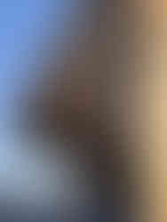 Lugares que ver en Helsinki - Biblioteca Central