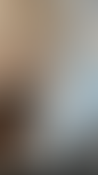 Lugares que ver en Ávila - Interior de la Catedral de Ávila