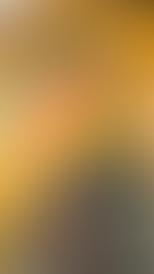 Lugares que ver en Belgrado - Museo de Yugoslavia