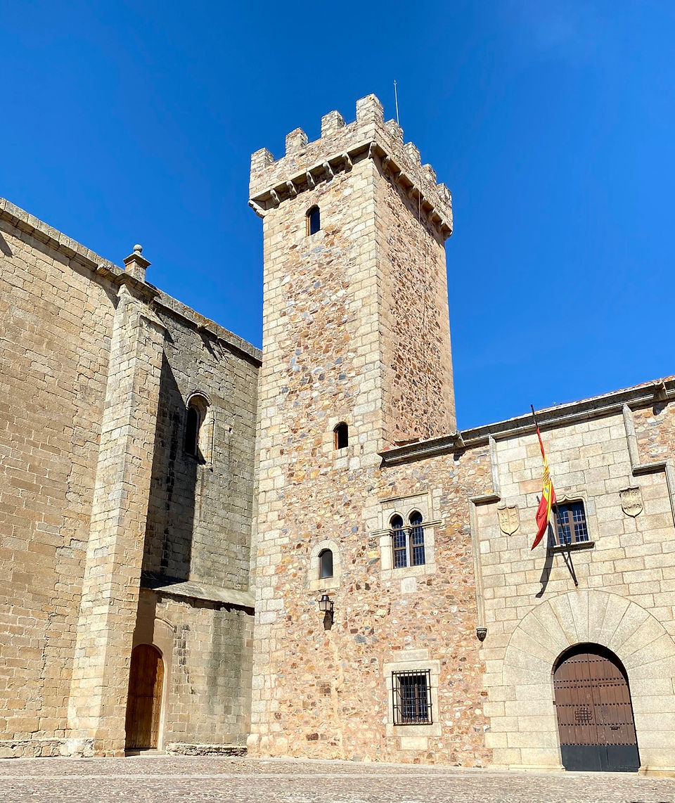 Lugares que ver en Cáceres - Torre de las Cigüeñas en Cáceres