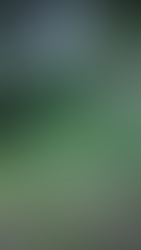 Templo de la Cruz en Palenque