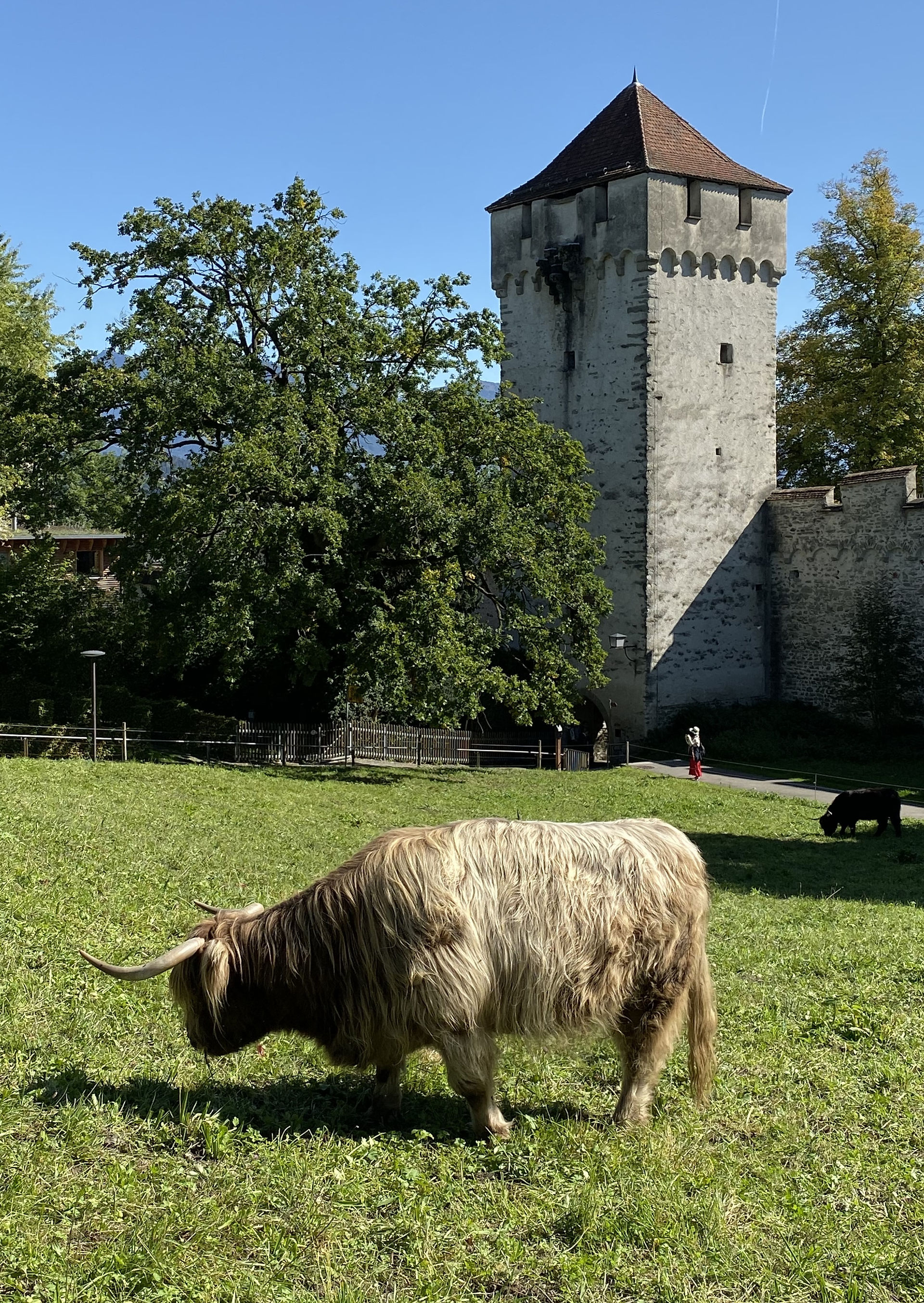 Lugares que ver en Lucerna - Muralla