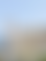 Basílica de Nuestra Señora de Candelaria